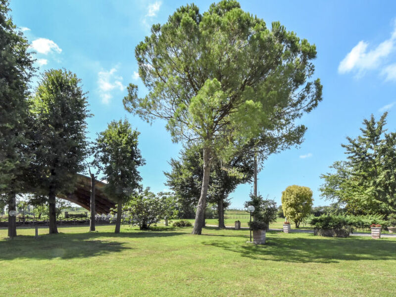 Azienda Agricola Forzello