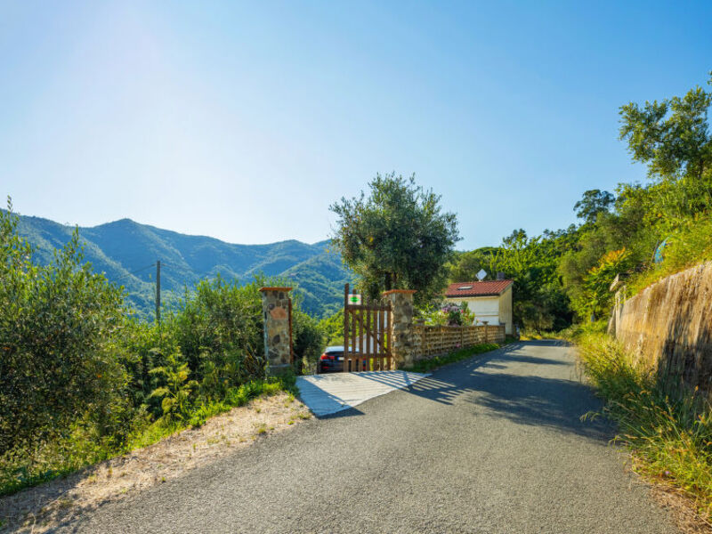 Casa Nueva