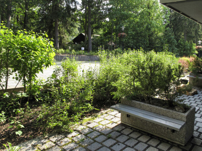 Resident Harrachov B