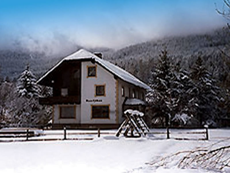 Appartements Urban