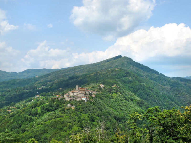 Fattoria Di Pietrabuona