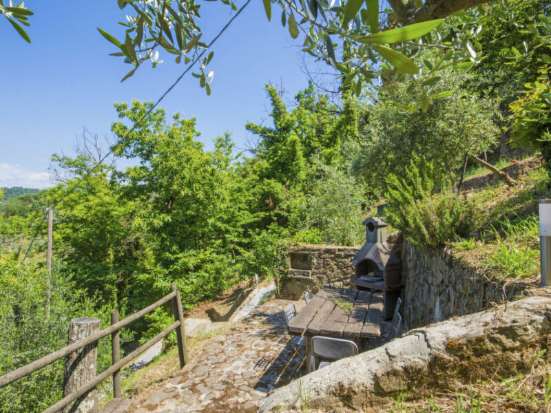 Poggio Alla Baghera