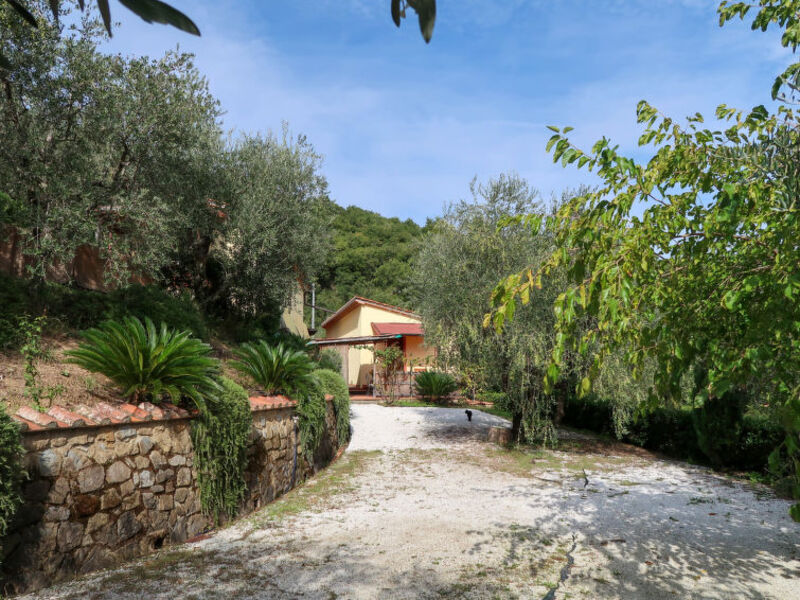 Bellavista