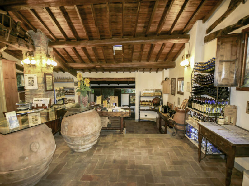 Fattoria Di Castiglionchio