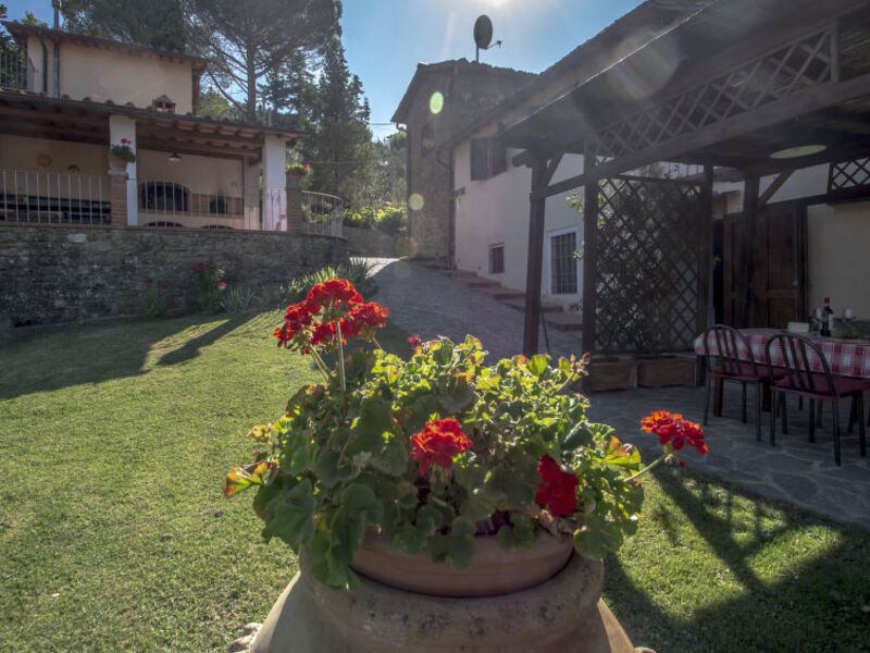 Podere Berrettino