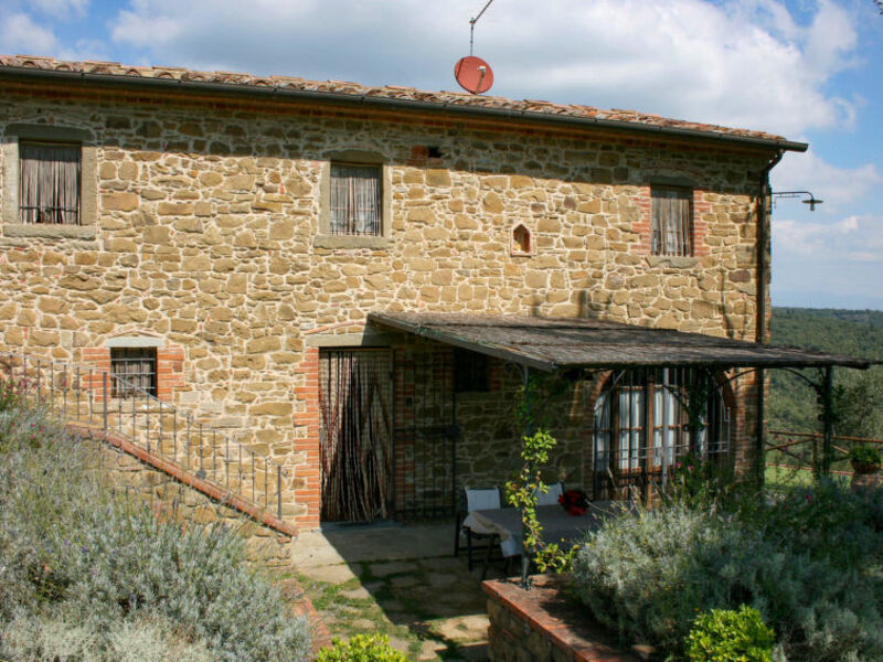 A Spasso Tra Gli Ulivi