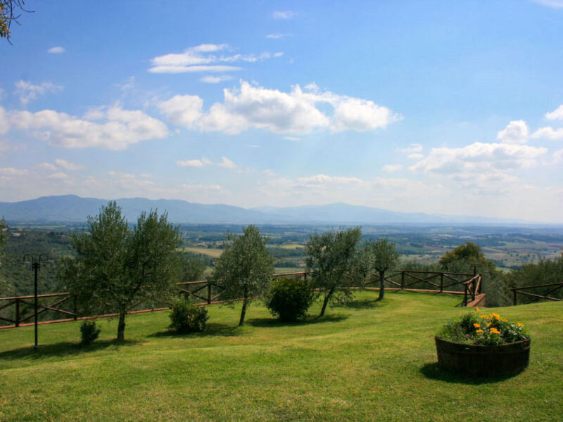 A Spasso Tra Gli Ulivi