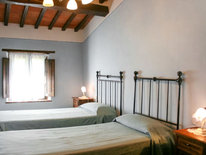 A Spasso Tra Gli Ulivi