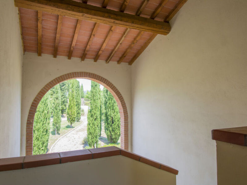 Il Felciaione