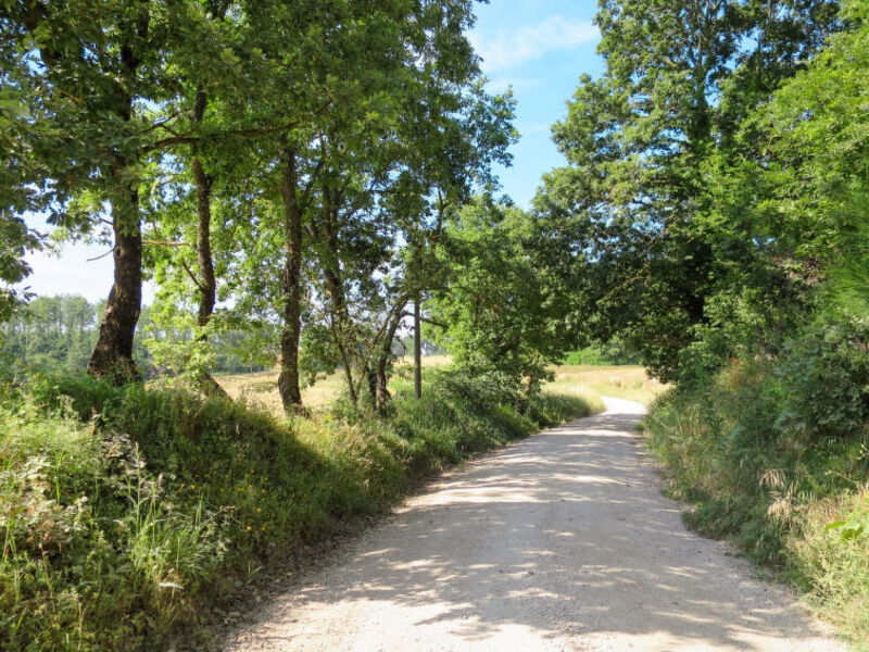 Boriano