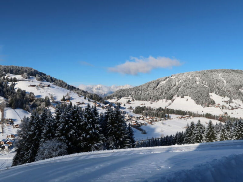 Fichtenblick