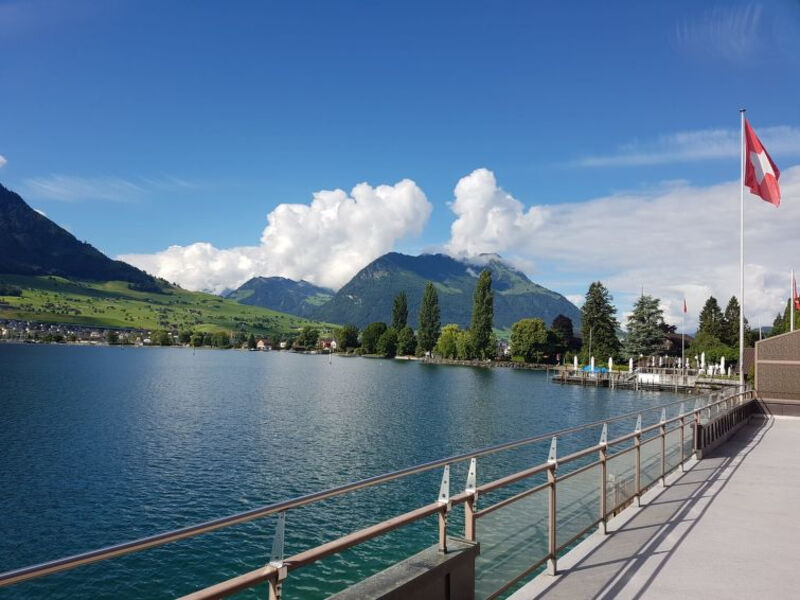 Seestern Am See
