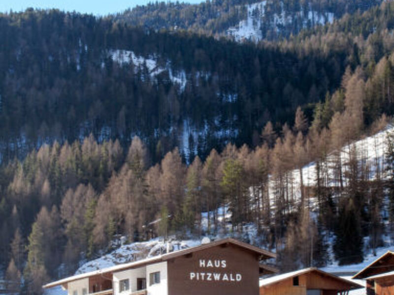 Pitzwald