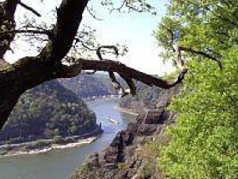 Best Western Grand City Hotel Koblenz Lahnstein