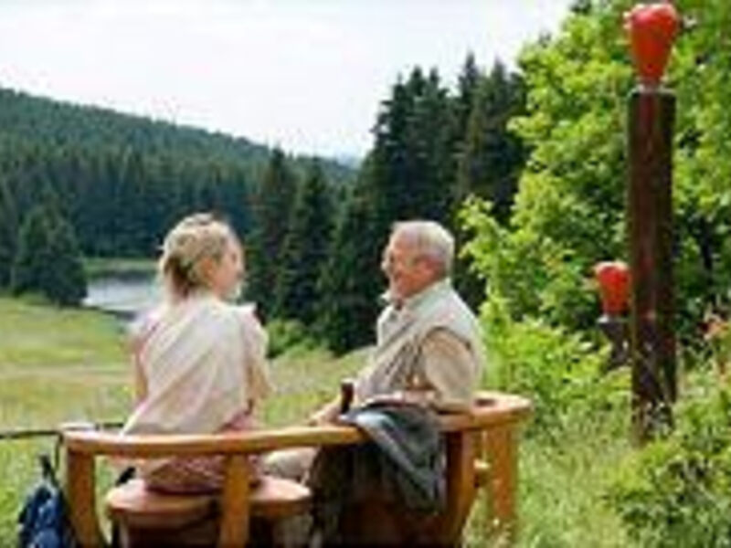 Best Western Residenz Hotel Harzhöhe
