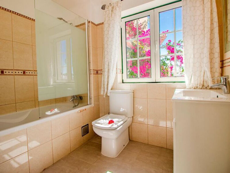 Gorgeous Studio Apartment In The Old Village