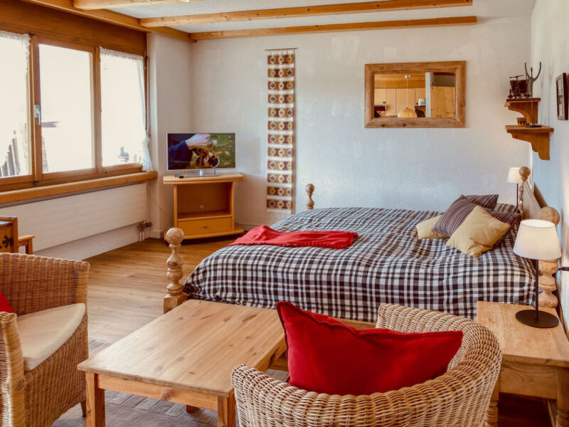 Casa Schumellins