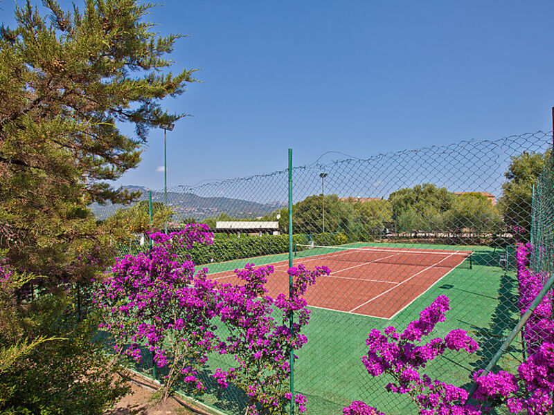 Stella Di Gallura