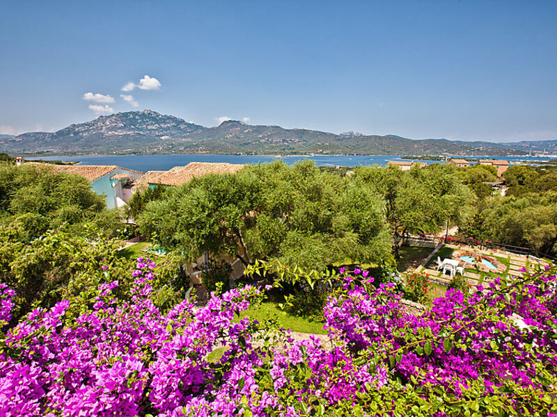 Stella Di Gallura