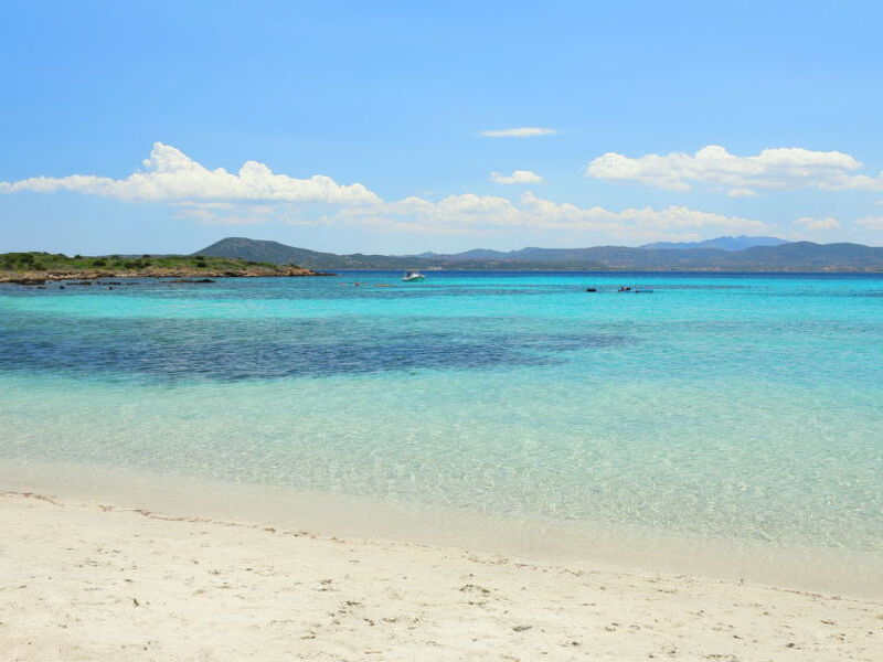 Vista Figari