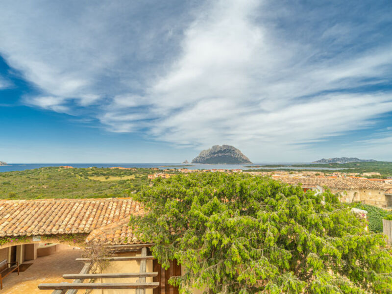 Vista Village