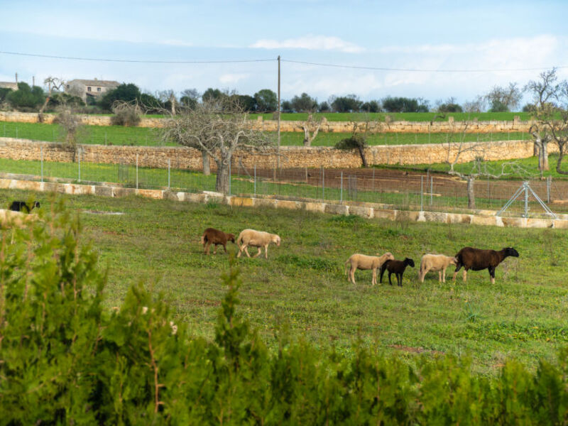 Altra Casa