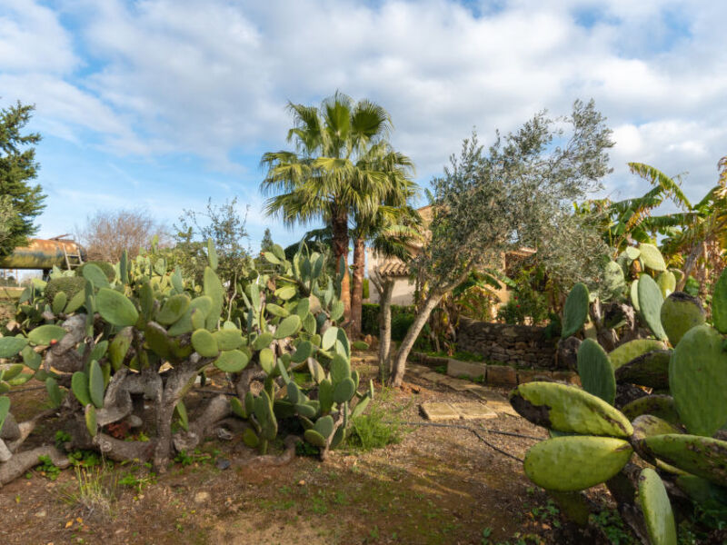 Altra Casa