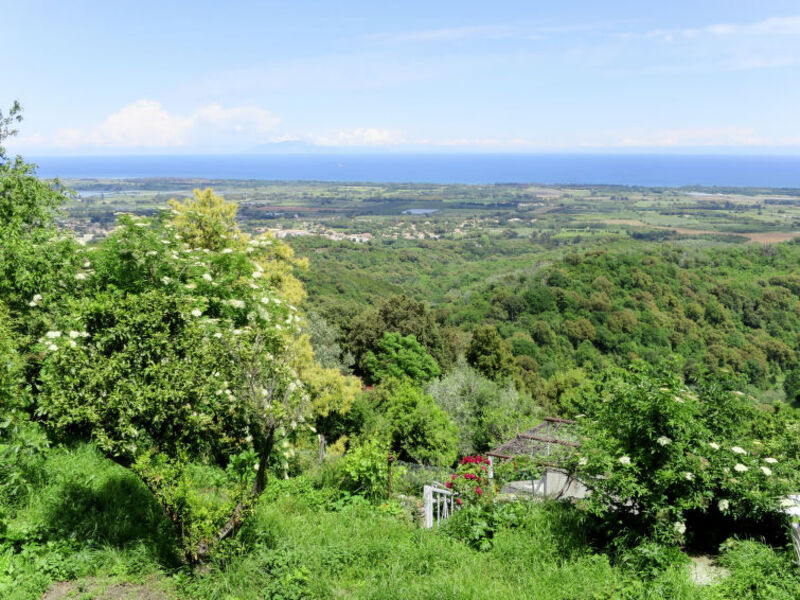 Maison Josee