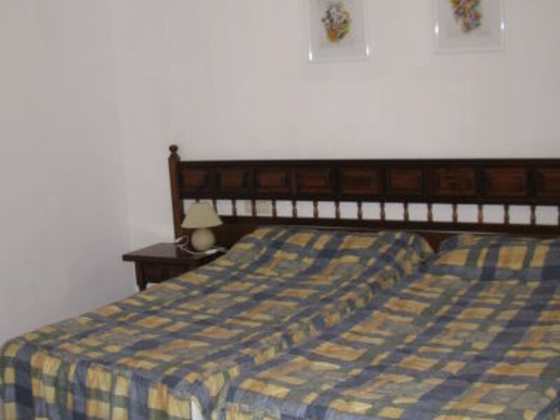 Pineda 102