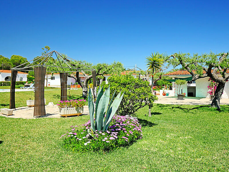 Colibri
