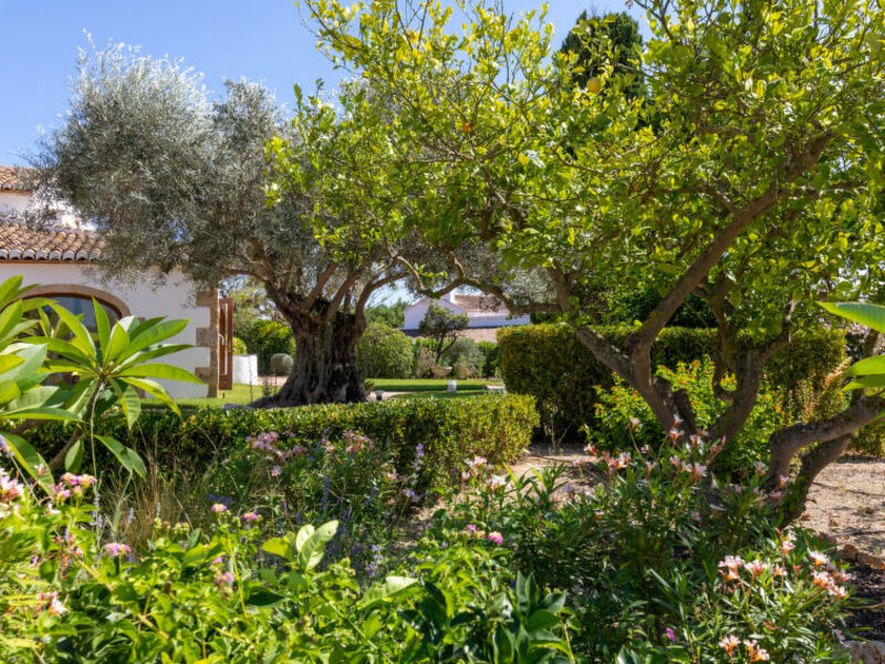 Finca Labranza