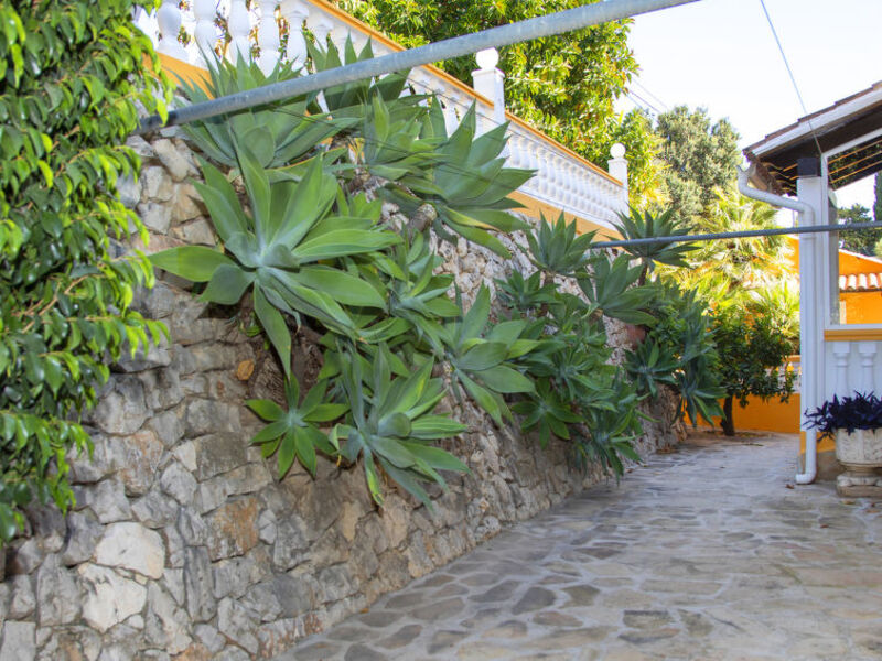 L`Oasis