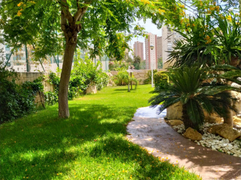 Atrium Playa