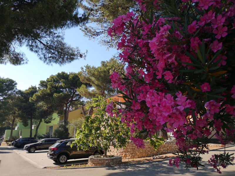 Matilde Beach Resort