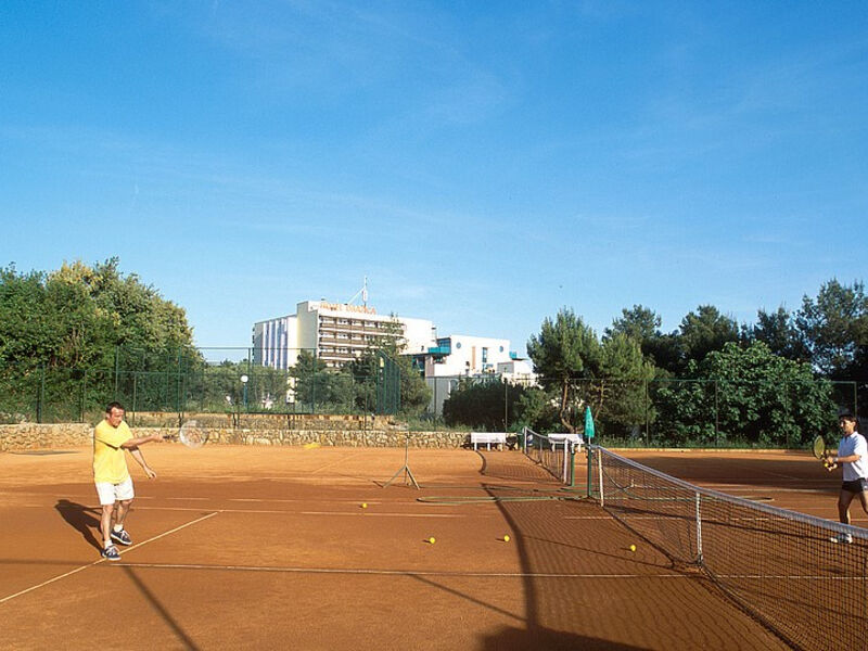 Hotel Drazica