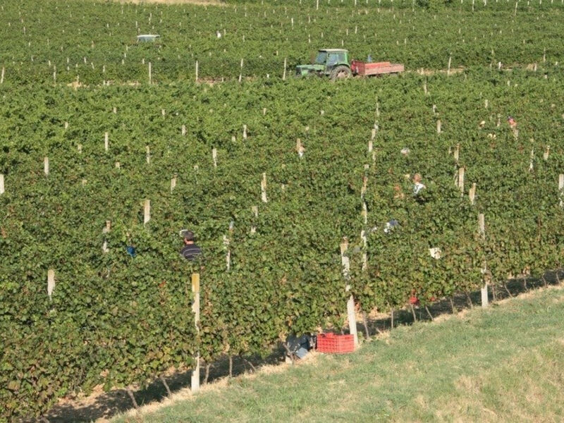 Apartmány Vybrané Novi Vinodolski