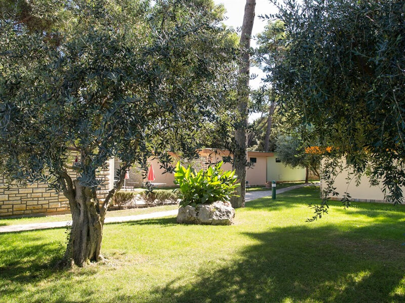 Mediterranean Village San Antonio