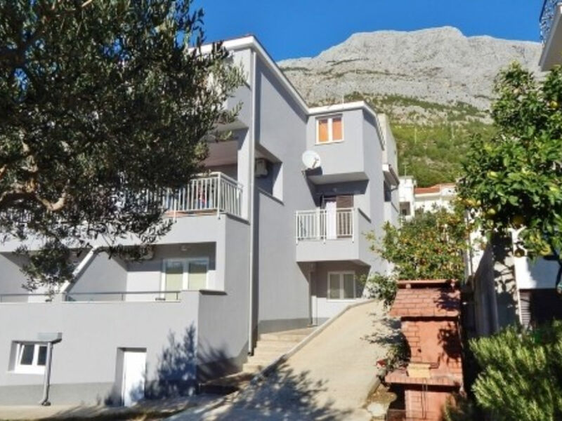 Vila Miše