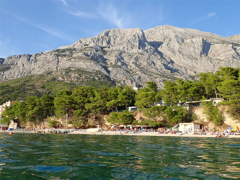 Vila Pavić