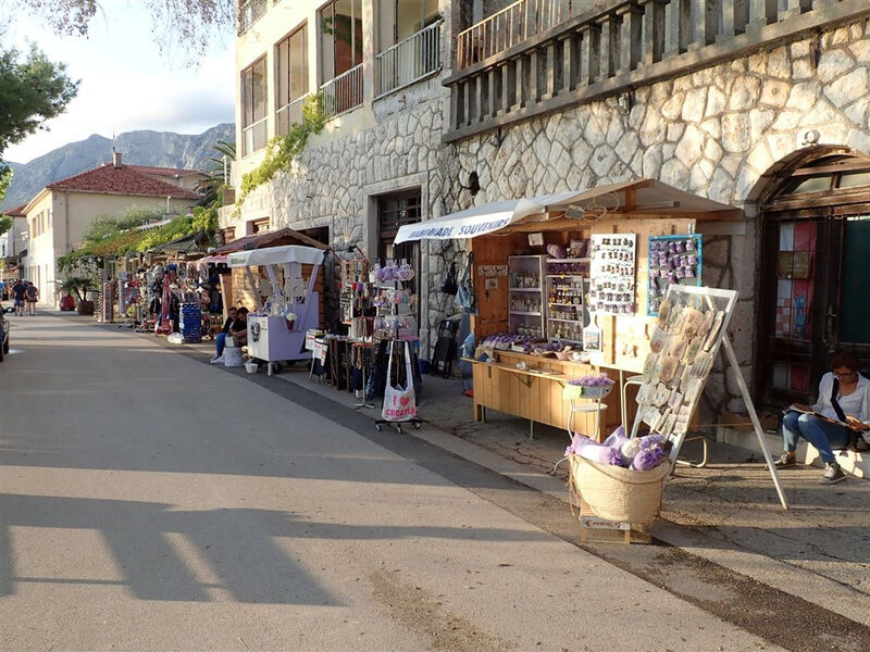 Hotel Gradac