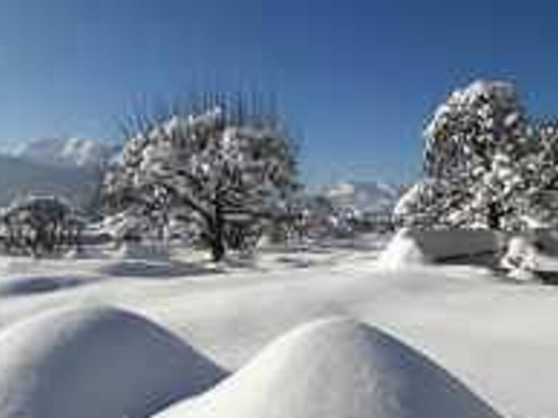 Alpenchalet Reit im Winkl