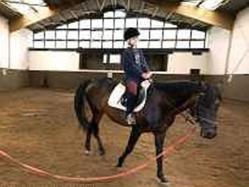 Ferien- & Reitsport Hotel Brunnenhof