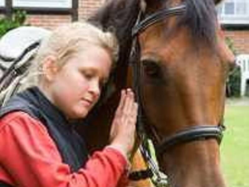 Ferien- & Reitsport Hotel Brunnenhof