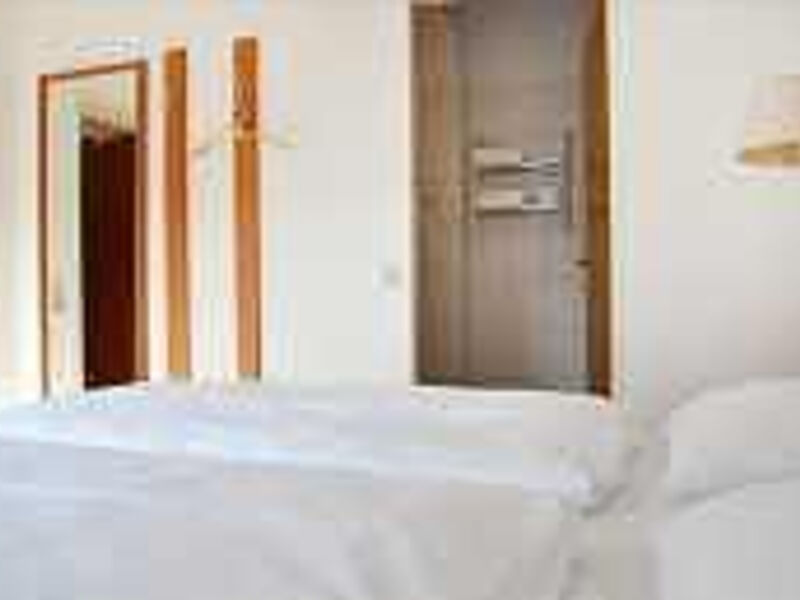 Forest Apartments & Rooms