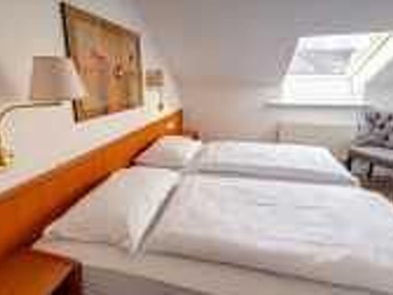 Forest Apartments & Rooms