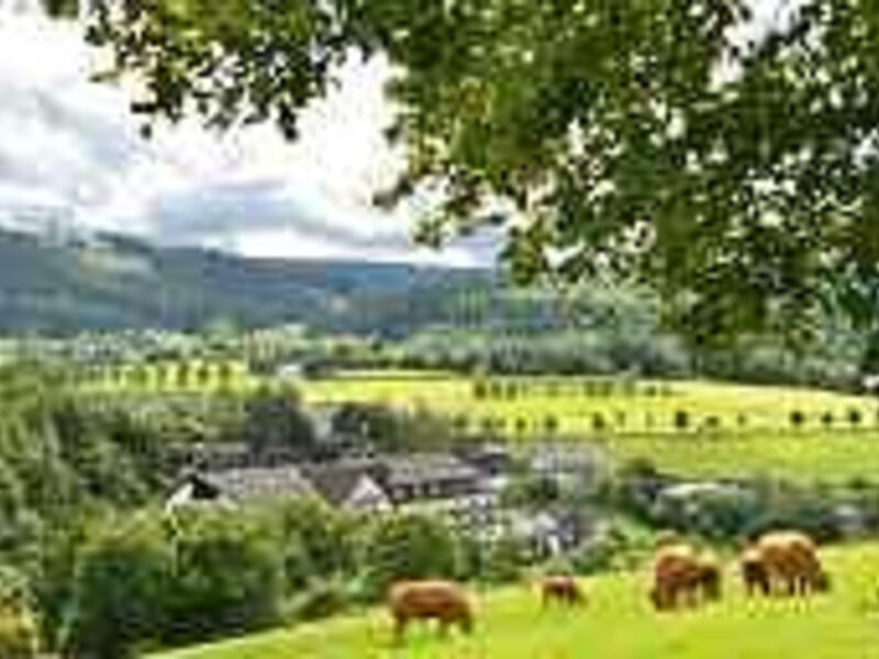 Sauerland Alpin Hotel