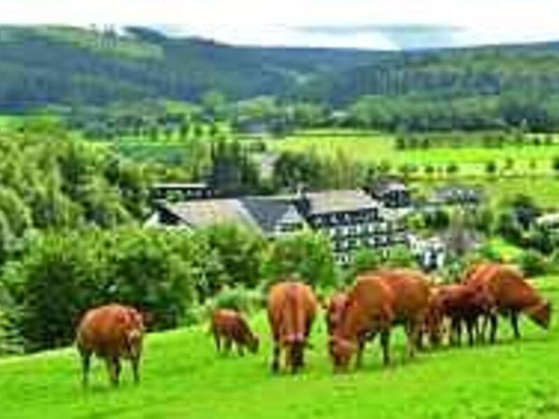 Sauerland Alpin Hotel