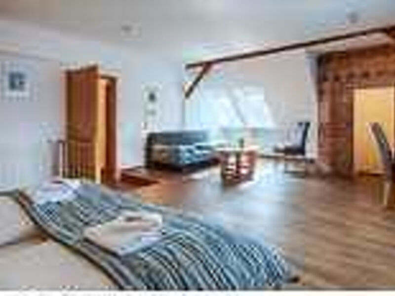 Hotel Luther Birke Wittenberg
