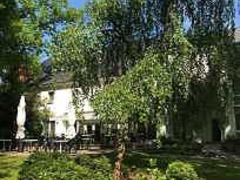 Hotel Luther Birke Wittenberg
