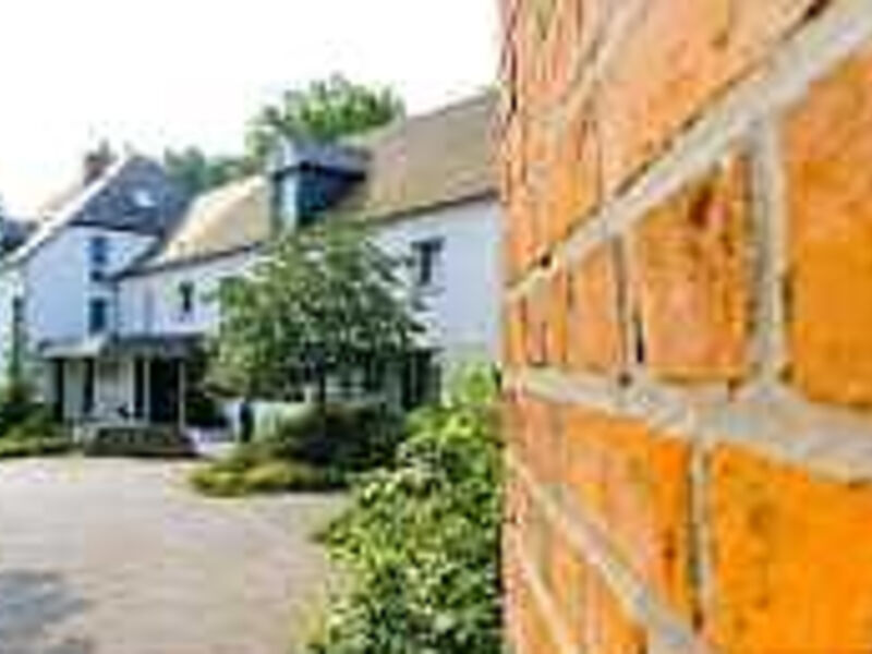 Hotel Luther Birke Wittenberg